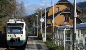 Randonnée A pied Elzach - Rundweg Goldener Kopf - Photo 6