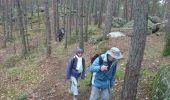 Trail Walking Fontainebleau - carrefour de Vienne 10 mars 2023  - Photo 2