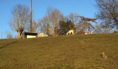 Randonnée Marche Olne - St Hadelin Rafay Nessonvaux Hansez - Photo 1