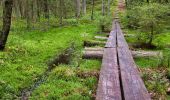 Trail On foot Unknown - Fylleryd, vitgul - Photo 3