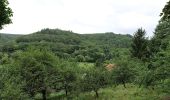 Tocht Te voet Hofheim am Taunus - Rundwanderweg Eichhorn - Photo 5