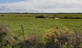 Randonnée Marche Chauvé - La Michelais des Marais - Photo 1