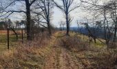 Trail Walking Hamoir - trek GR57 jour 4 : Hamoir - Bomal-sur-Ourthe - Photo 12