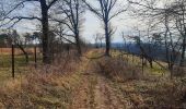 Tour Wandern Hamoir - trek GR57 jour 4 : Hamoir - Bomal-sur-Ourthe - Photo 12