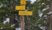 Tocht Sneeuwschoenen Pralognan-la-Vanoise - Pralognan: Fontanettes par la cascade de la Faîche - Photo 9