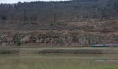 Tour Zu Fuß Hirschhorn - Rundwanderweg Rothenberg 5: Odenwald-Neckar-Runde - Photo 4