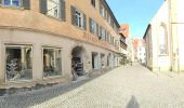 Trail On foot Rottenburg am Neckar - Rottenburg-Rammert - Photo 2