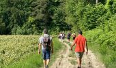 Tocht Stappen Hautvillers - Chemin par monts et par vaux - Hautvilliers - Photo 8