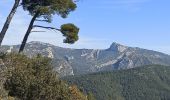 Randonnée Marche Roquefort-la-Bédoule - Roquefort la Bédoule-Tête du Douard-Gorges de la petite Ste Baume - Photo 6