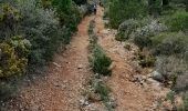 Trail Walking Fontjoncouse - fontjoncouse - Photo 7