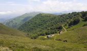 Trail Walking Larrau - le Pic des Escalier - Photo 5