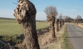 Tour Zu Fuß Wedel - Planetenlehrpfad Wedel - Photo 6