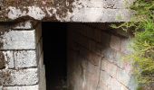 Trail Walking Angomont - Le champ de bataille de la Chapelotte - Photo 12