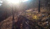 Trail Walking Ornans - ORNANS SAULES - Photo 3