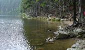 Randonnée A pied Železná Ruda - [Ž] Špičák - Čertovo jezero - Photo 5