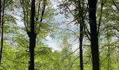 Randonnée Marche Genappe - Promenade de Bousval - Photo 2