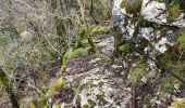 Randonnée Marche Dortan - Boucle sur les hauteurs de Dortan  - Photo 4