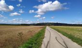 Trail Walking La Côte-Saint-André - revel tourdan - Photo 1