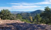 Tour Wandern Mandelieu-la-Napoule - 