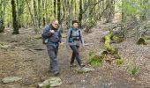 Trail Walking Rosis - douch - saint gervais - Photo 10