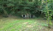 Percorso Marcia Cerelles - Cerelles - Bois de Lignière - Photo 18
