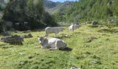 Tour Wandern Tende - Cime Escandail - Photo 1