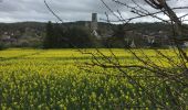 Trail  Villiers-sous-Grez - Villiers sous grès marchant - Photo 5