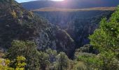 Trail Walking La Palud-sur-Verdon - sentier bastidon 999m 17.6k - Photo 5