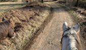 Trail Horseback riding Habay - Marbehan côté Thibessart - Photo 4