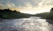 Tour Zu Fuß Umeå - Strandpromenaden - Photo 4