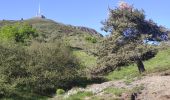 Trail Walking Orcines - le puy de dome - Photo 4