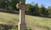 Tour Wandern Hohengöft - Chemin de croix baptême Loulou  - Photo 10