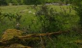 Tour Wandern Corn - Le causse par lacoste - Photo 2