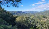 Trail Walking Solliès-Toucas - couvent Saint Hubert - Photo 6