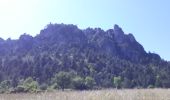 Tour Wandern Florac Trois Rivières - Panoramique des couronnes - Photo 5