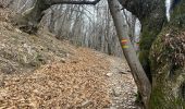 Trail Walking Vialas - Vialas tour du Rocher de Treize - Photo 15