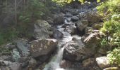 Trail Walking La Chapelle-en-Valgaudémar - Les Portes , Les cascades. - Photo 4