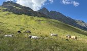 Randonnée Marche Pralognan-la-Vanoise - Glacier de Genepy 13 km - Photo 1