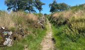 Trail Walking Royère-de-Vassivière - Boucle du Lac de Vassivière - Photo 2