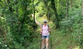 Randonnée Marche Champeaux - Les falaises de Champeaux - Photo 3