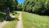 Trail Walking Val-d'Aigoual - L’Esperou Dourbie 26 km - première étape tour de l'Aiguail en 3 jours - Photo 6