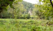 Tour Wandern Saint-Céneri-le-Gérei - Saint ceneri - Photo 12