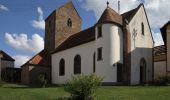 Tour Zu Fuß Maßweiler - Maßweilerer Keltenpfad - Photo 7