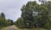 Randonnée Marche Spa - grand tour de la fagne de Malchamps - Photo 4