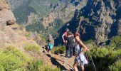 Excursión Senderismo Curral das Freiras - Pico do Areeiro - Photo 14