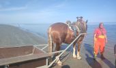 Excursión Senderismo Koksijde - Kruwerspad + de Verhulstjes - Photo 1