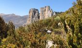 Randonnée Marche Castellane - Les Cadieres de Brandis - Photo 19