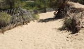 Randonnée Marche Saint-Cyr-sur-Mer - Dune de sable  - Photo 9