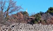 Tour Wandern Mazan - Mazan vers Blauvac, Notre Dame des Anges - Photo 3