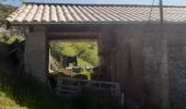 Trail Walking Bayons - BAYONS  . col des Sagnes , Peyrouret , Picouse , bergerie de Gautiere , Piaure , Giaire n - Photo 3